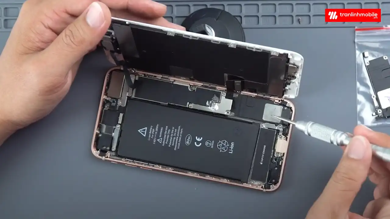 Thay loa ngoài iPhone 8 Plus chính hãng
