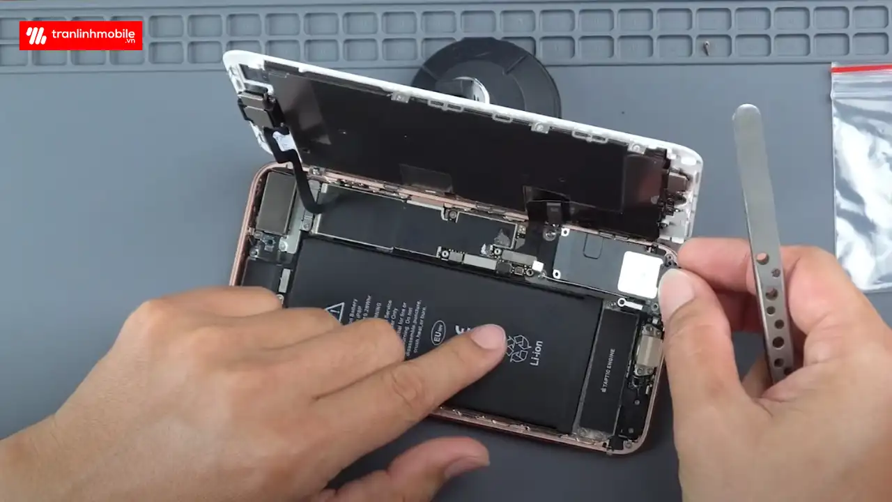 Thay loa ngoài iPhone 8 Plus lấy ngay tại Trần Linh Mobile