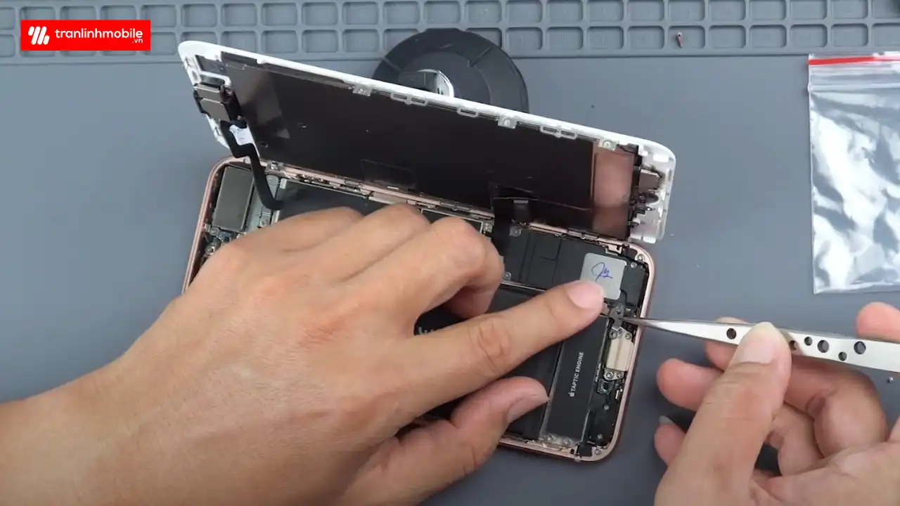 Thay loa ngoài iPhone 8 Plus lấy ngay tại Hà Nội và Hải Phòng