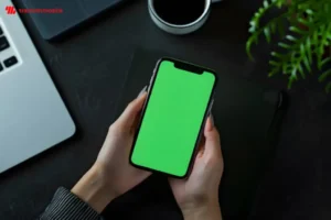 Một số lưu ý khi đưa máy đi fix sửa lỗi xanh trắng màn hình iPhone 13 Pro Max 