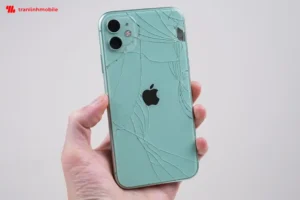 Khi nào nên thay kính lưng sau iPhone 11? 